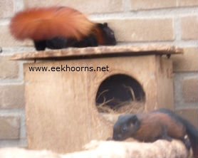 birmafrans1